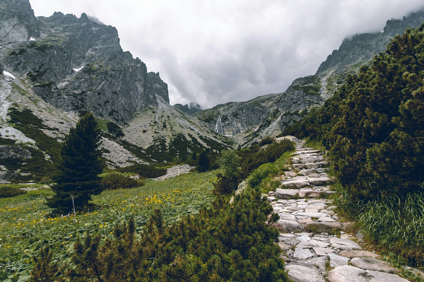 A stone path climbing through dwarf pines and alpine meadow into a Tatra valley